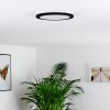 Siguna Deckenleuchte LED Schwarz, 1-flammig