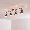 Nanlia Deckenleuchte Grau, Silber, 4-flammig
