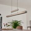 Inicio Pendelleuchte LED Nickel-Matt, 5-flammig