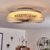 Rivarotta Deckenventilator LED Weiß, 1-flammig, Fernbedienung