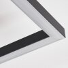 Cavareno Deckenleuchte LED Schwarz, 1-flammig
