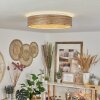 Quintinha Deckenleuchte LED Weiß, 1-flammig