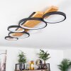LED Deckenleuchte Rodekro mit ringförmigen Leuchtkörpern, Holz in Naturfarben