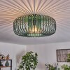 Industrial Käfig-Deckenleuchte Wemude in Grün, ø 40 cm, E27-Fassung,