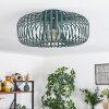 Industrial Käfig-Deckenleuchte Wemude in Grün, ø 40 cm, E27-Fassung,
