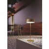 Lutec COCKTAIL Tischleuchte LED Gold, 1-flammig