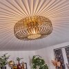 Retro-Käfig-Deckenleuchte Wemude mit rundem Metallschirm in Messing, offene E27-Fassung
