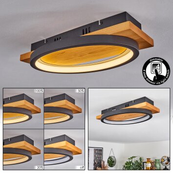 Pompu Deckenleuchte LED Naturfarben, Schwarz, 1-flammig