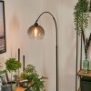 Tapitapa Bogenstehlampe Schwarz, 1-flammig