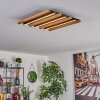 Favorina Deckenpanel LED Naturfarben, Schwarz, 1-flammig