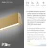 Paul Neuhaus PURE E-MOTION Pendelleuchte LED Gold, 1-flammig, Fernbedienung
