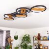 LED Deckenleuchte Cornol mit ovalen LED-Ringen, verstellbar, 3000K warmweiß