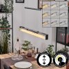 LED Hängeleuchte Ortan mit Glas Kristalle, Lichtfarbe 2700-5000K, höhenverstellbar