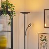 Dillingby Stehleuchte LED Schwarz, 2-flammig