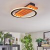 Pompu Deckenleuchte LED Naturfarben, Schwarz, 1-flammig