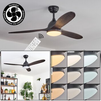 Deckenventilator Mosstena, dimmbar per Fernbedienung, Lichtfarbe einstellbar 3000-6500 Kelvin
