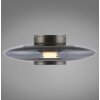 Paul Neuhaus PURE Vitrum Wand- und Deckenleuchte LED Grau, 1-flammig