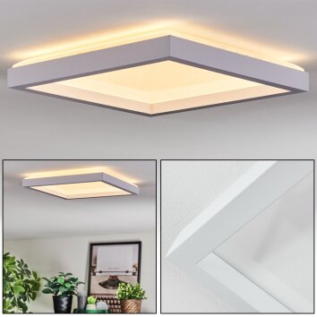 Xarel Deckenleuchte LED Weiß, 1-flammig