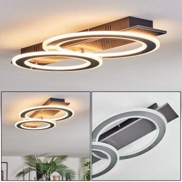 Lidor Deckenleuchte LED Schwarz, Silber, 1-flammig