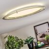 Ipres Deckenleuchte LED Silber, Weiß, 1-flammig