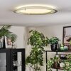 Ipres Deckenleuchte LED Silber, Weiß, 1-flammig