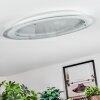 Ipres Deckenleuchte LED Silber, Weiß, 1-flammig