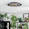 Lidor Deckenleuchte LED Schwarz, 1-flammig