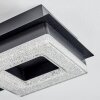 Walon Deckenleuchte LED Schwarz, 1-flammig