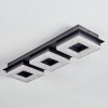 Walon Deckenleuchte LED Schwarz, 1-flammig