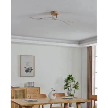 EGLO RONCADE 2 Deckenleuchte LED Hellbraun
