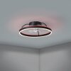 EGLO MARINELLA Leuchte mit Ventilator LED Schwarz, Fernbedienung, Farbwechsler