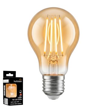 LED Leuchtmittel E27 7 Watt 2200 Kelvin 630 Lumen