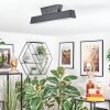 Tarin Deckenleuchte LED Schwarz, 1-flammig, Farbwechsler