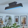 Tarin Deckenleuchte LED Schwarz, 1-flammig, Farbwechsler