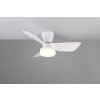 Reality Randers Deckenventilator mit Beleuchtung LED Weiß, 1-flammig, Fernbedienung