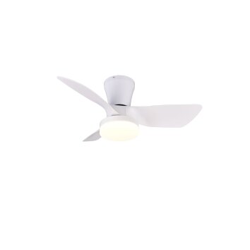 Reality Randers Deckenventilator mit Beleuchtung LED Weiß, 1-flammig, Fernbedienung