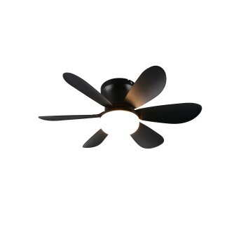 Reality Lund Deckenventilator mit Beleuchtung LED Schwarz, 1-flammig, Fernbedienung