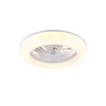 Reality Mora Deckenventilator mit Beleuchtung LED Weiß, 1-flammig, Fernbedienung