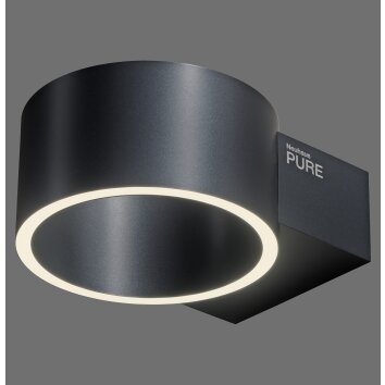 Paul Neuhaus PURE Clipse Wandleuchte LED Grau, 2-flammig