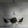 Paul Neuhaus PURE Infinity Pendelleuchte LED Grau, 1-flammig, Fernbedienung
