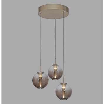 Paul Neuhaus PURE E-Infinity Pendelleuchte LED Bronze, 3-flammig, Fernbedienung