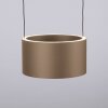 Paul Neuhaus PURE Clipse Pendelleuchte LED Bronze, 2-flammig, Fernbedienung