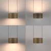 Paul Neuhaus PURE Clipse Pendelleuchte LED Bronze, 6-flammig, Fernbedienung