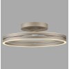 Paul Neuhaus PURE Loop Deckenleuchte LED Bronze, 2-flammig, Fernbedienung