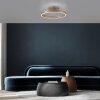 Paul Neuhaus PURE Loop Deckenleuchte LED Bronze, 2-flammig, Fernbedienung