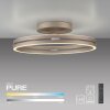 Paul Neuhaus PURE Loop Deckenleuchte LED Bronze, 2-flammig, Fernbedienung