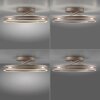 Paul Neuhaus PURE Loop Deckenleuchte LED Bronze, 2-flammig, Fernbedienung