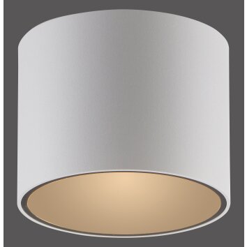 Paul Neuhaus PURE Point Deckenleuchte LED Weiß, 1-flammig