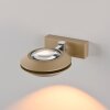 Paul Neuhaus PURE Oculis Wandleuchte LED Bronze, 2-flammig