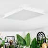 Raimea Deckenpanel LED Weiß, 1-flammig